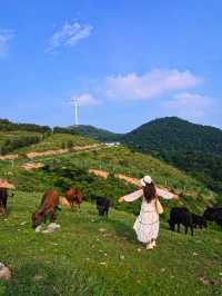 在湖北！21º嘅高山草原，夏天真係舒服到震～
