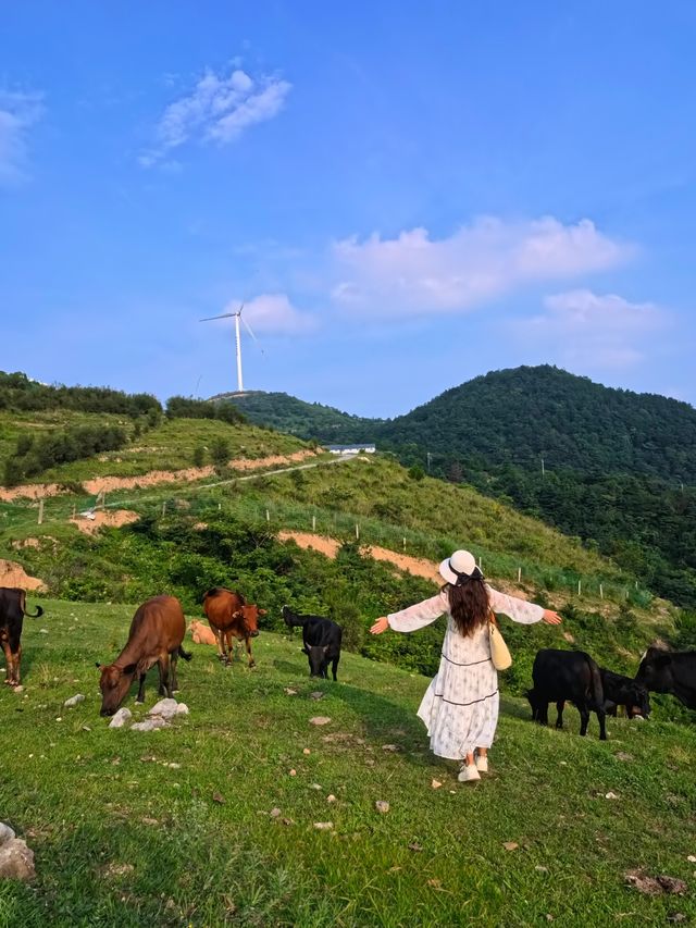 在湖北！21º嘅高山草原，夏天真係舒服到震～