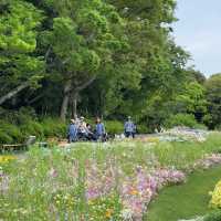 【橫濱里山花園4月尾靚到尖叫！即時實況分享】