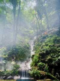 杭州必打卡！靈山風景區隱藏嘅綠野仙蹤夏季限定仙境！