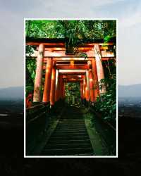伏見稻荷夏日遊記：斑駁鳥居影，水占一笺風。