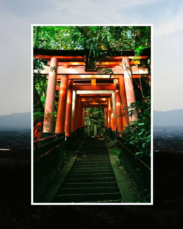 伏見稻荷夏日遊記：斑駁鳥居影，水占一笺風。