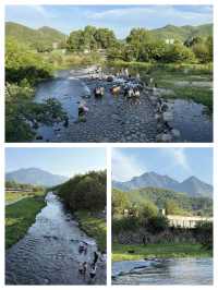【安吉】免費溯溪6個玩水點，快啲收藏啦