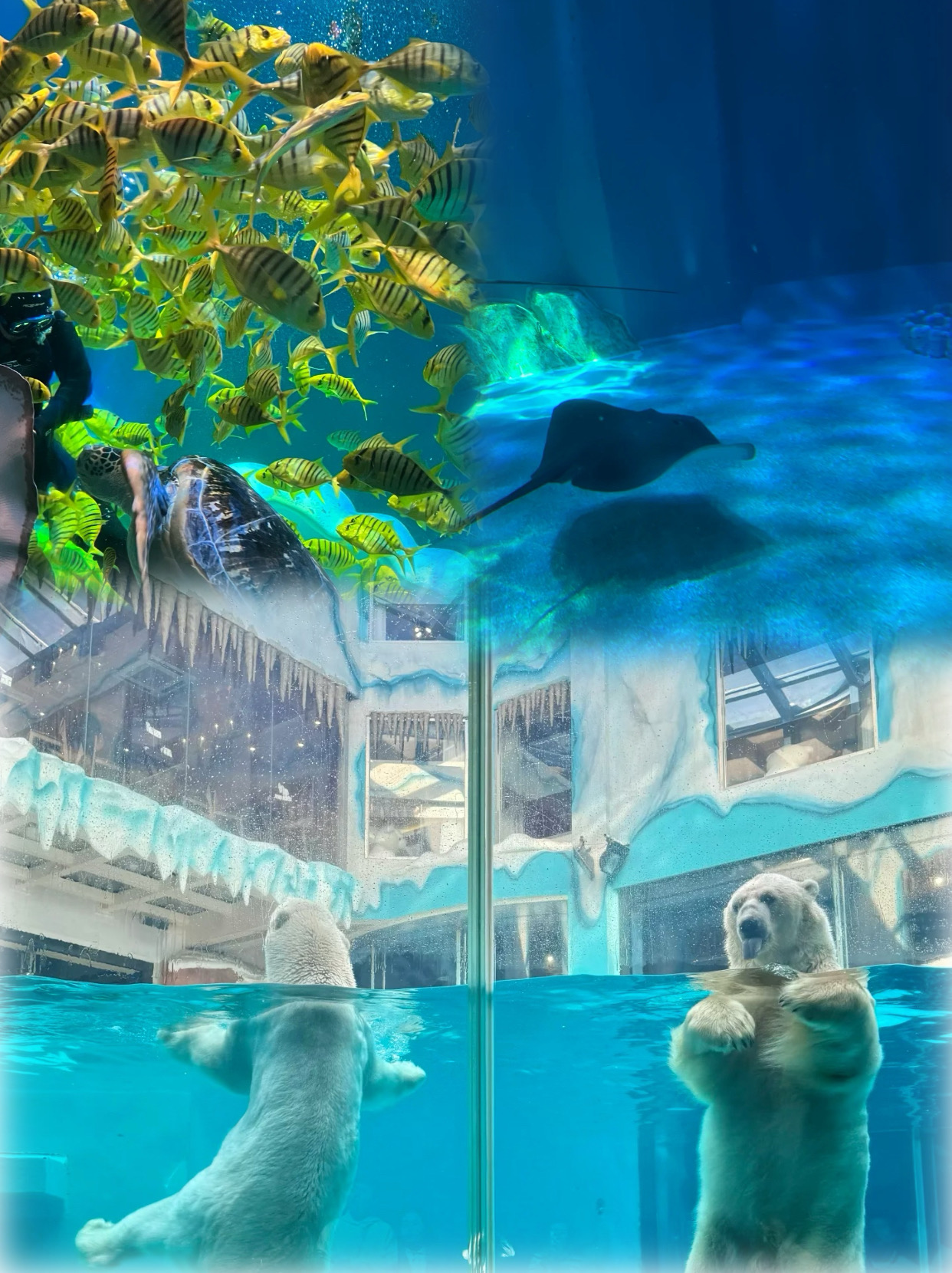 Harbin Polarland is back, really don’t recommend going from July to September