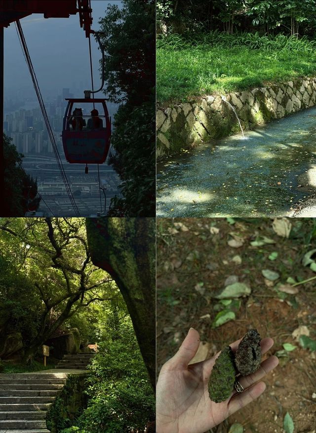總要去趟福州鼓山吧 睇場超震撼嘅日落