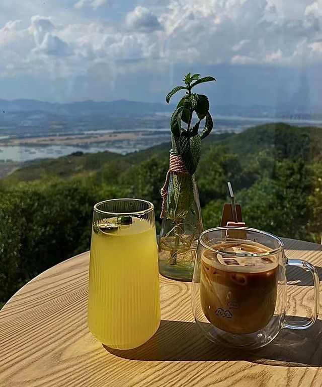 茶園竹林裡的隱世勝地