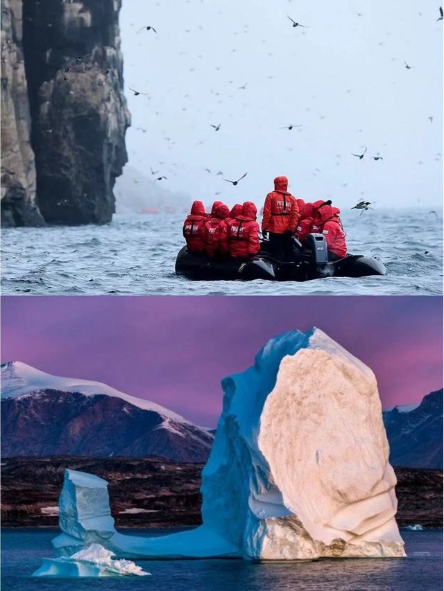去北極不就是為了看北極熊嗎?暑假中文航線 去北極不就是為了看北極熊嗎?暑假中文航線
