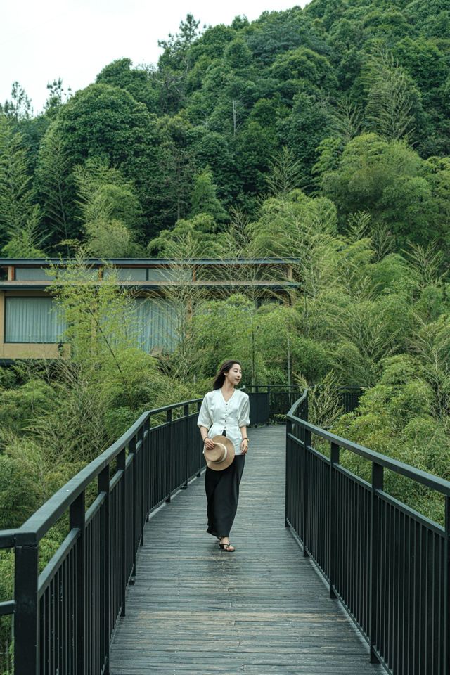 安吉梵隱 | 躲進25℃的夏天，住進山水畫的扉頁裏