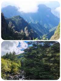 闖入綠野仙蹤！神農頂嘅夢幻之旅