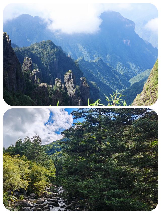 闖入綠野仙蹤！神農頂嘅夢幻之旅