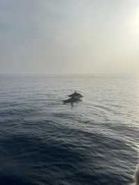 A Memorable Family Holiday at JA Manafaru
