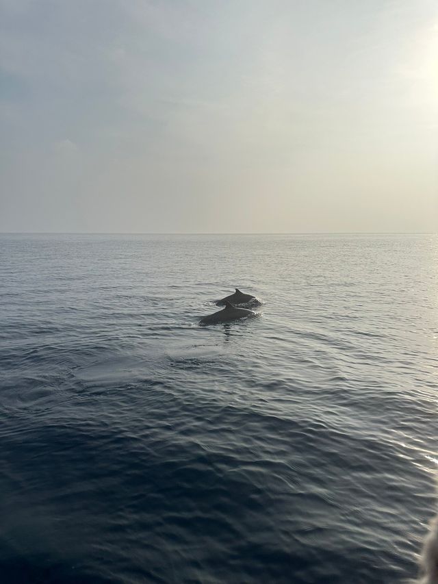 A Memorable Family Holiday at JA Manafaru