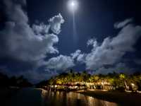 Paradise Cove: A Return Visit to Perfection