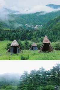 進山避暑，湖北首選秘境神農架