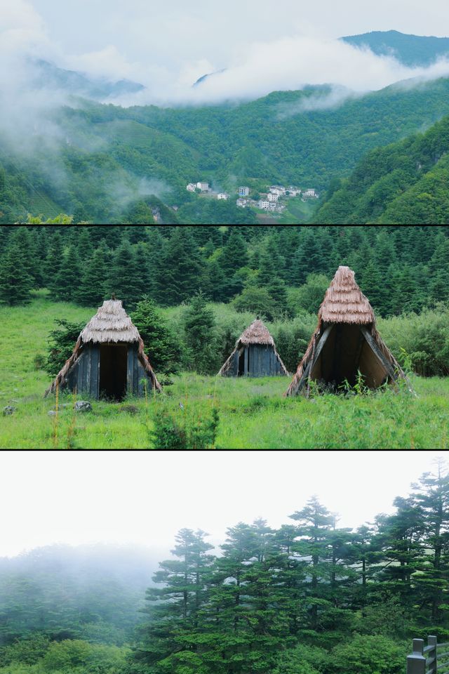 進山避暑，湖北首選秘境神農架