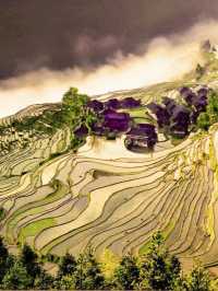 貴州秘境｜加榜梯田2025最新旅行攻略比龍脊更早金黃！