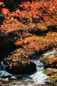 五女山秋：紅葉雲海，遼東秘境