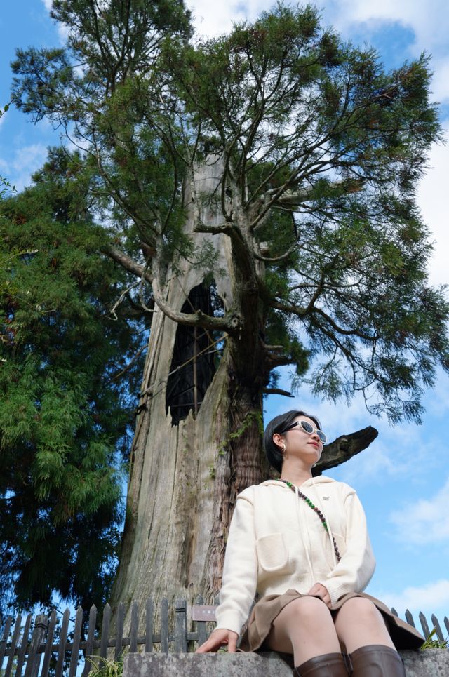麗水景寧遊時思寺看千年古村落，雲中大漈山野徒步
