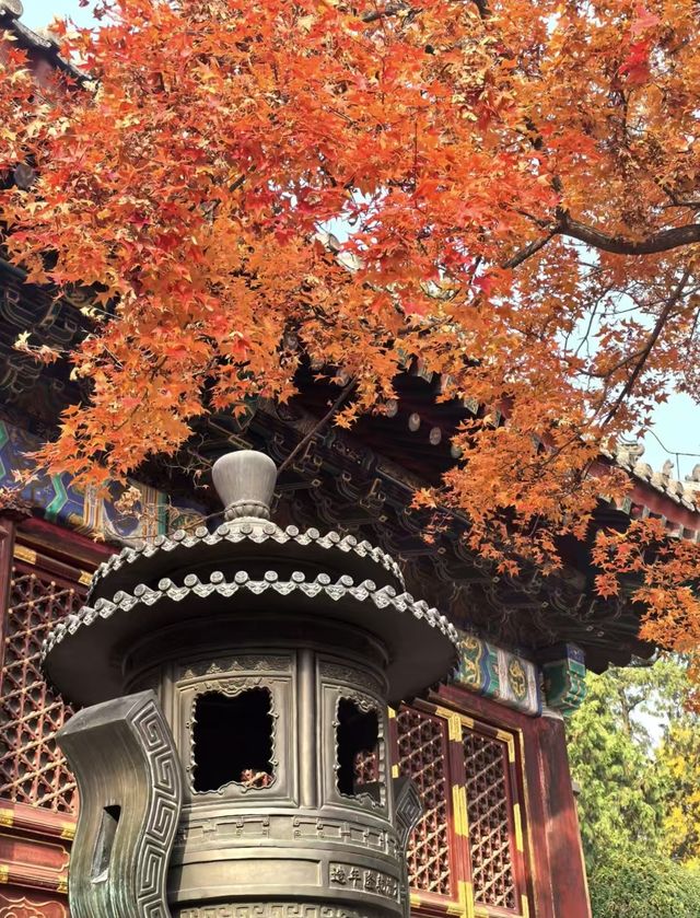 沈陽秋日私藏路線:將北國的溫柔融入旅途 沈陽秋日私藏路線:將北國的溫柔融入旅途