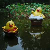 🦆 Fuxing Park: Charming Duck Sculptures in the French Concession