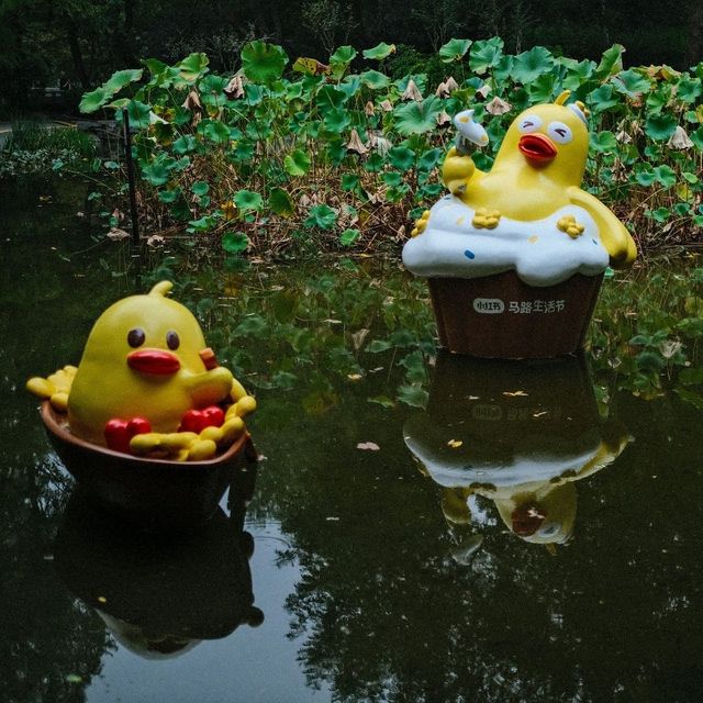 🦆 Fuxing Park: Charming Duck Sculptures in the French Concession