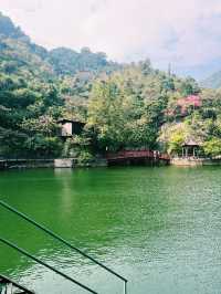 Bamboo trails, mountain air, and a zipline through the clouds — Guangzhou escape!