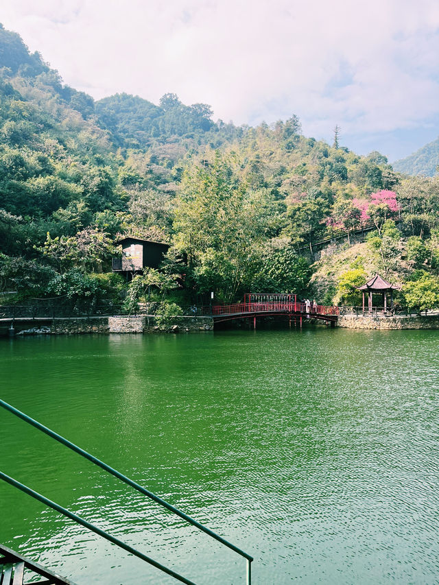 Bamboo trails, mountain air, and a zipline through the clouds — Guangzhou escape!