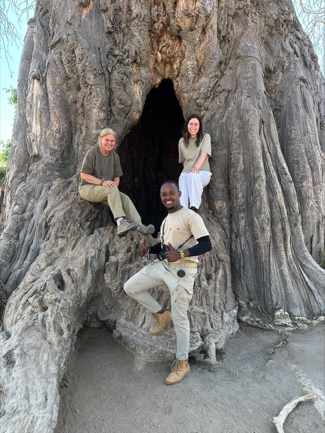 Incredible Safari and St Judes Experience