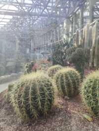 廈門園林博物園：探秘古典園林之美

廈門，這座美麗的海濱城市，不僅因其海灘、島嶼和美食而聞名於世，更