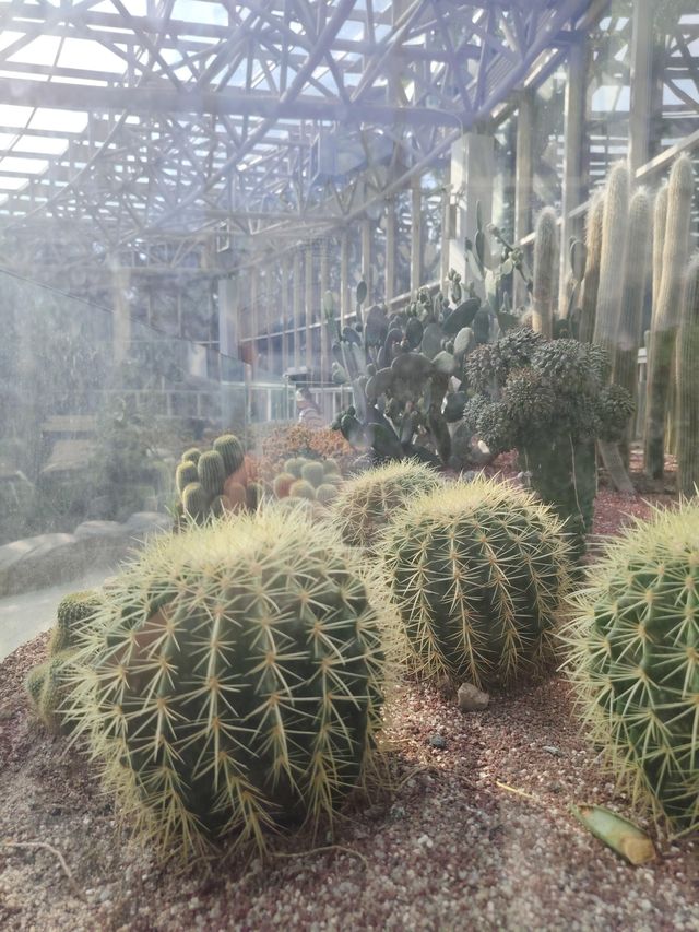 廈門園林博物園：探秘古典園林之美

廈門，這座美麗的海濱城市，不僅因其海灘、島嶼和美食而聞名於世，更