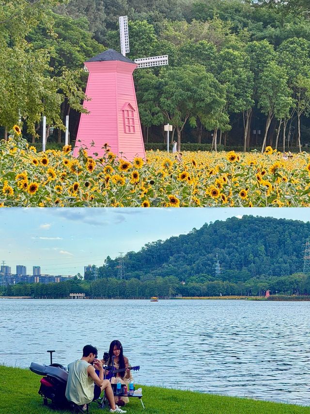 佛山寶藏免費公園！逛一天都不膩