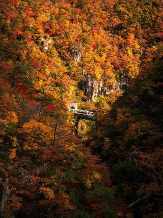Top 10 Autumn Foliage Spots in Miyagi