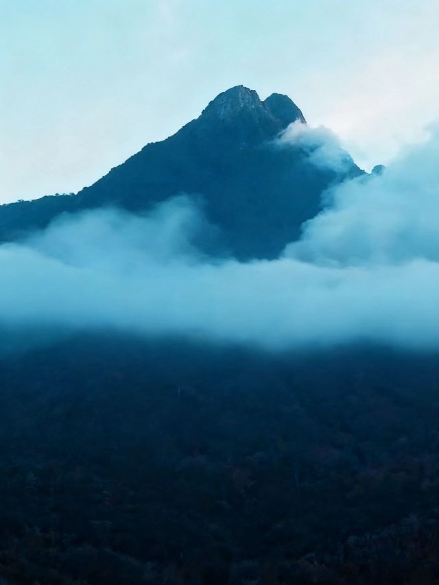 五指山秋日徒步｜闖入熱帶雨林的秘境