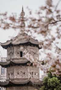 《半城山水滿心歡，蕪湖漫步指南》