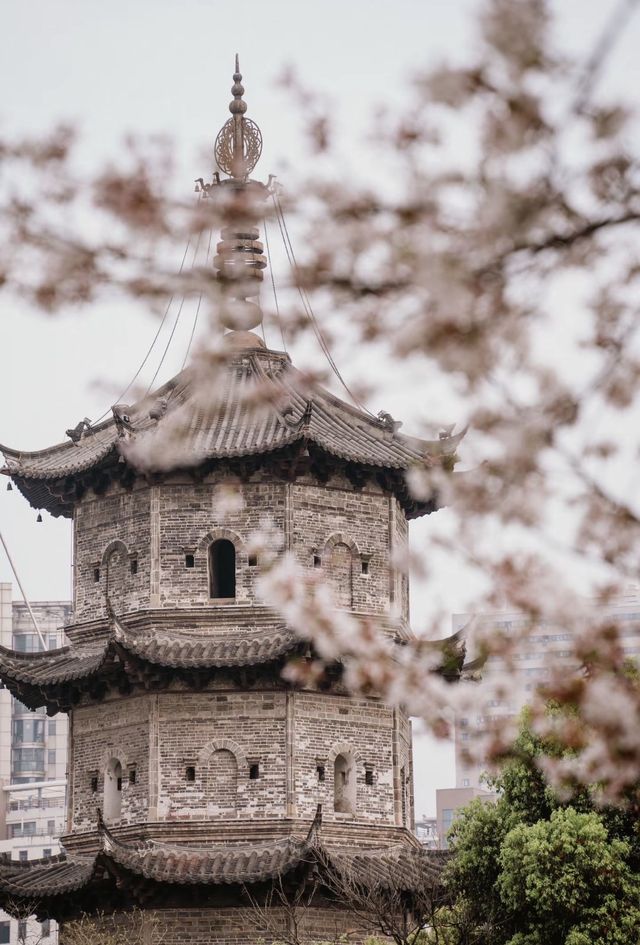 《半城山水滿心歡，蕪湖漫步指南》