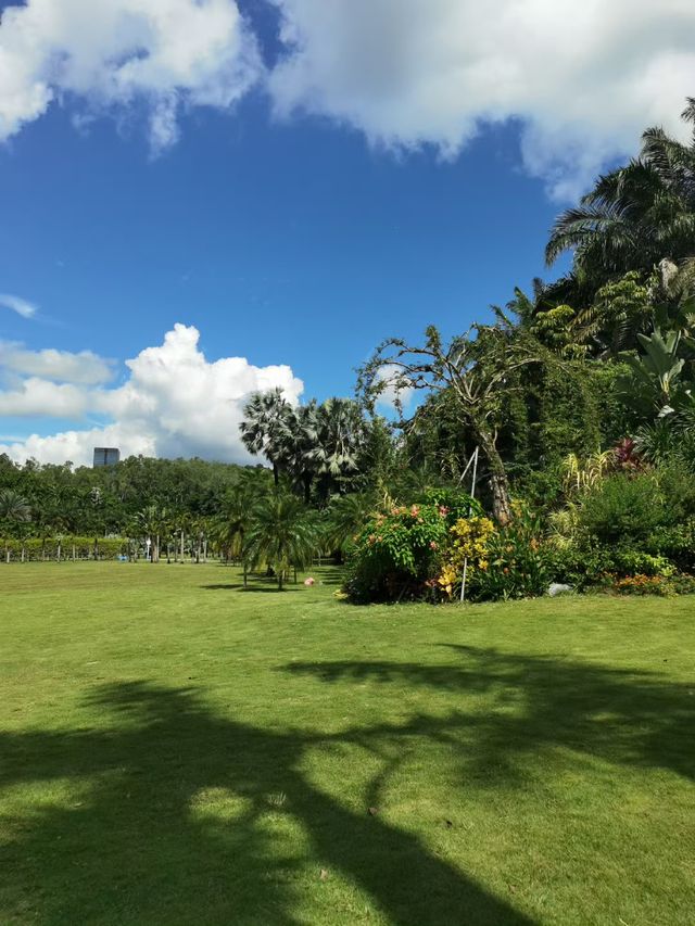 深圳這些絕美公園太出片了!隨手拍都是治癒系大片 深圳這些絕美公園太出片了!隨手拍都是治癒系大片