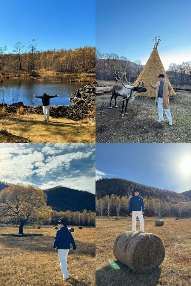 深秋嘅阿爾山太靚喇！金燦燦嘅白樺林配上清澈見底嘅湖泊，隨手一影都係明信片級數嘅美景 