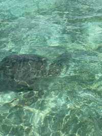 A Day in Paradise: An Unforgettable Trip Experience