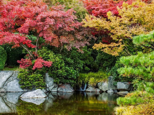 Solo in a Hidden Vancouver Gem: The Momiji Garden at Hastings Park