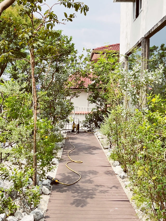 🌿 Doudoubake KL: Where Urban Jungle Meets Sweet Dreams! 🍰 🌿 Doudoubake KL: Where Urban Jungle Meets Sweet Dreams! 🍰