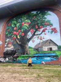 什麼在紅山楂酒店竟然不能躺平