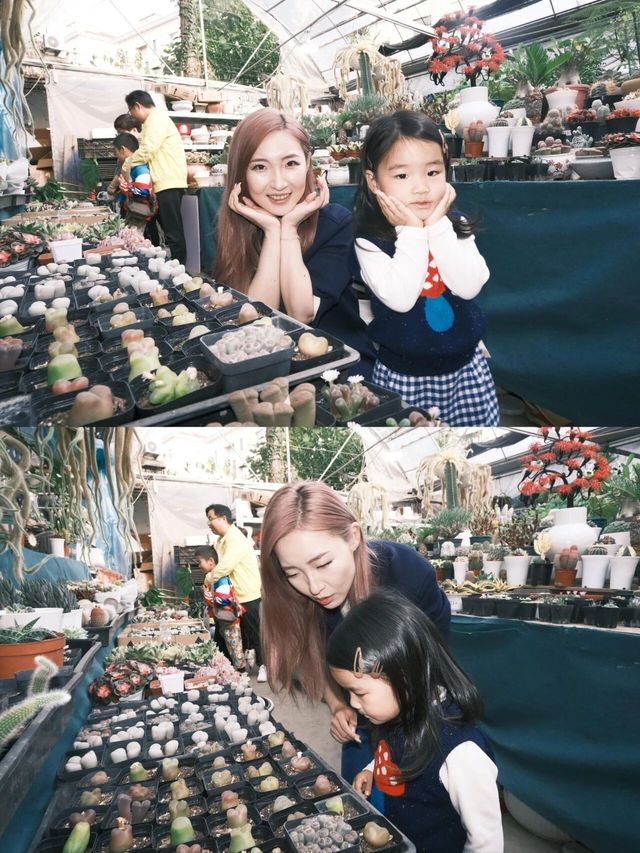 她鏡頭裡的她|走進復古調調的花鳥市場 她鏡頭裡的她|走進復古調調的花鳥市場