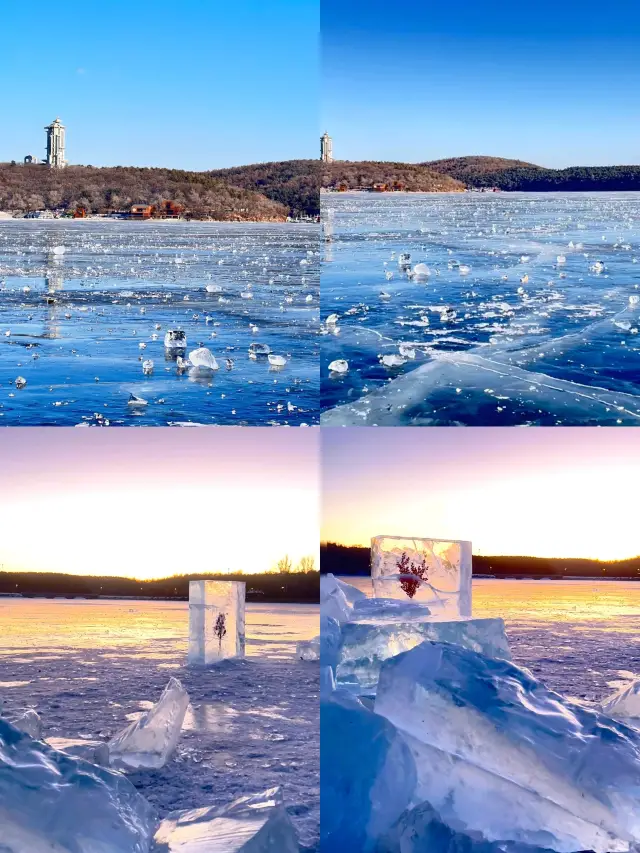 Changchun Jingyuetan | A Winter Fairy Tale in the Snow Country’s Secret Realm, a Forest-Themed Paradise with Few People and Beautiful Scenery!