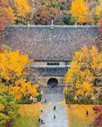 2天南京秋遊攻略 錯過等一年