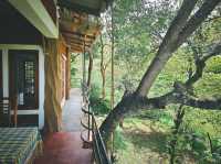 斯里蘭卡｜蒼穹之下，唯有一石