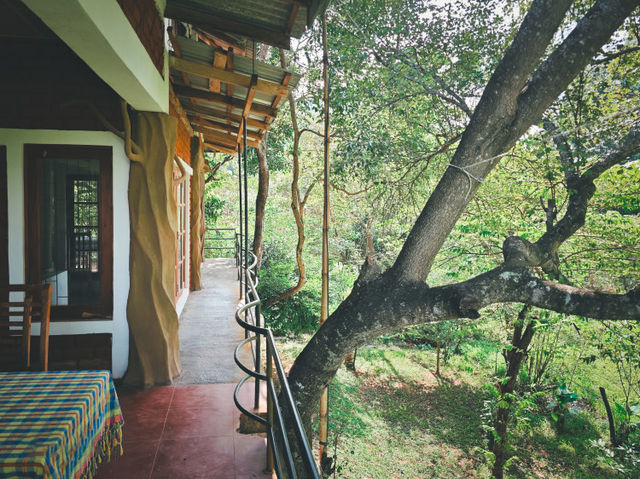 斯里蘭卡｜蒼穹之下，唯有一石