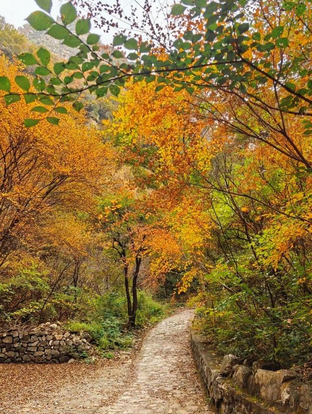 北京南石洋大峽谷｜不必遠赴深山，北京城西就藏著秋日童話。