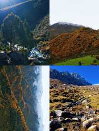 冰溝河秋色太絕了