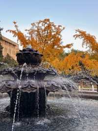 西安市區0元賞秋!索菲特銀杏大道地鐵直達的歐式浪漫