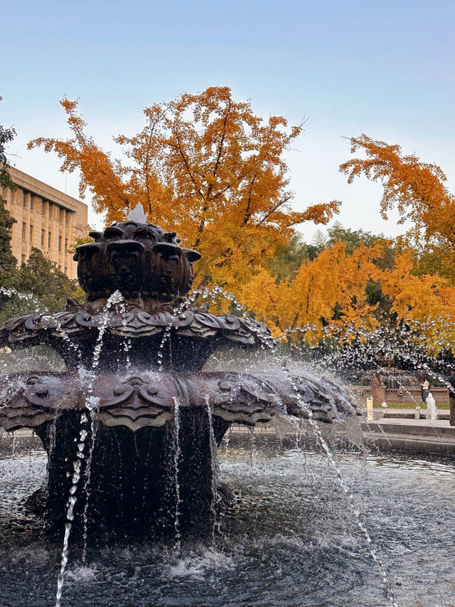 西安市區0元賞秋!索菲特銀杏大道地鐵直達的歐式浪漫 西安市區0元賞秋!索菲特銀杏大道地鐵直達的歐式浪漫